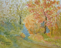 Autumn - Strona (Italy)