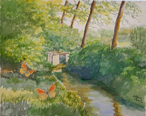 Pensieri d'estate - Thoughts of summer