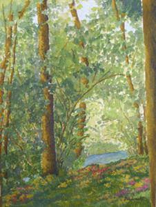 Colori primaverili - Springs colors -( acquarello e gouache -watercolor and gouache)