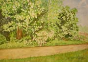 Campestral view with blooming briar roses and acacias - Scorcio campestre con rose canine e rubini in fiore PRIVATE COLLECTION- COLLEZIONE PRIVATA