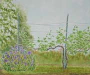 A nook of spring - Un angolo di primavera