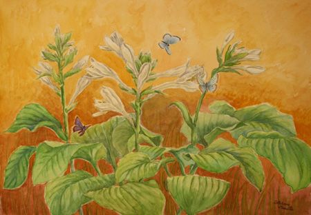 Reflections of light-Watercolor painting
