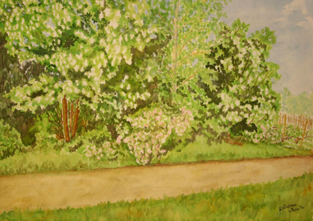 Campestral view with blooming briar roses and acacias-Watercolor painting