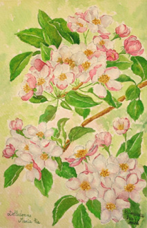 Spring between apple trees- Watercolor painting