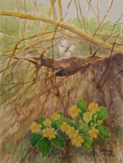 Blooming primrose-Watercolor painting